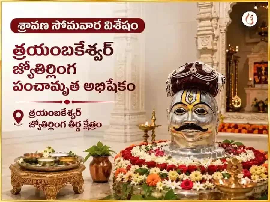 శ్రావణ సోమవార విశేష్ త్రయంబకేశ్వర జ్యోతిర్లింగ పంచామృత అభిషేకం puja image 1