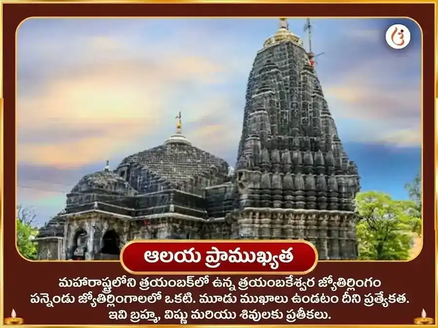 శ్రావణ సోమవార విశేష్ త్రయంబకేశ్వర జ్యోతిర్లింగ పంచామృత అభిషేకం puja gallery 4