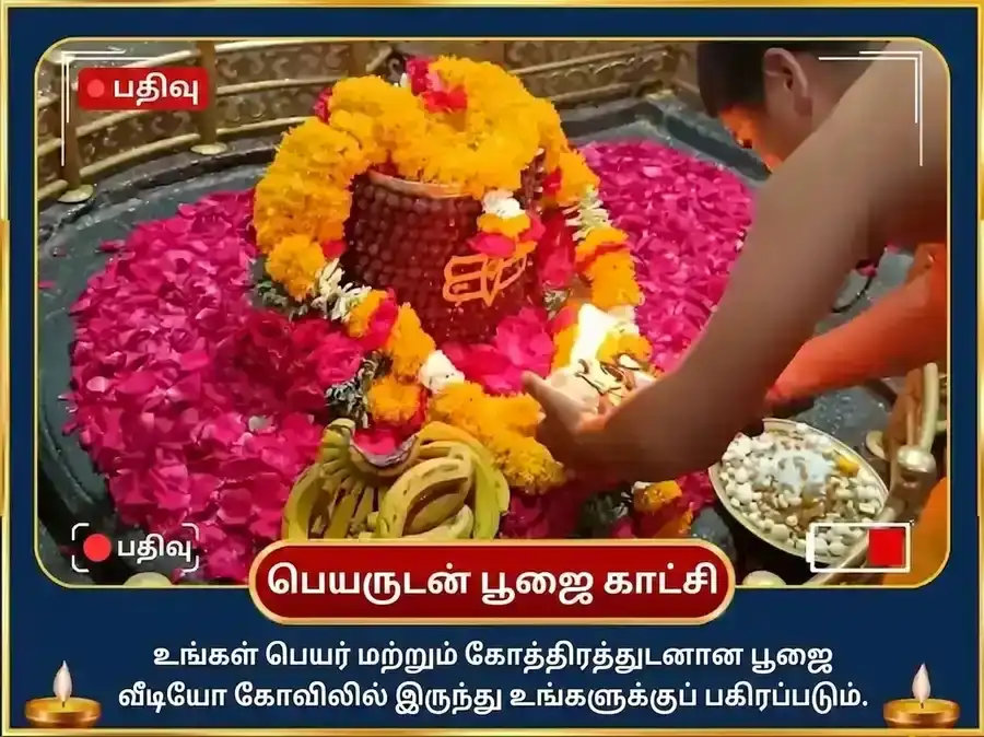 சிராவண சோமவார விசேஷ கிரிஷ்னேஷ்வர் ஜோதிர்லிங்க சிவ சஹஸ்ரநாம பாராயணம் மற்றும் பஞ்சாமிர்த அபிஷேகம் puja gallery 2