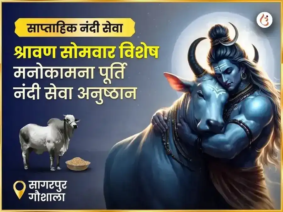 श्रावण सोमवार विशेष मनोकामना पूर्ति साप्ताहिक नंदी सेवा puja image 1