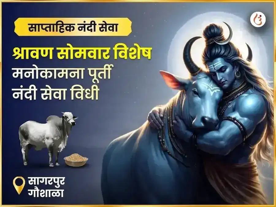 श्रावण सोमवार विशेष मनोकामना पूर्ती साप्ताहिक नंदी सेवा puja image 1