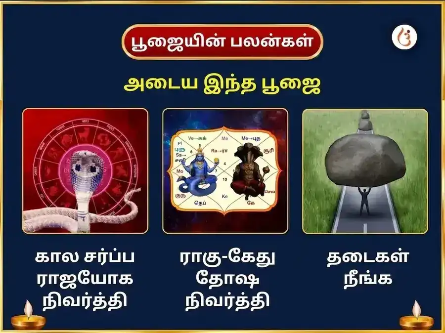 ஷ்ராவண சோமவார விசேஷ த்ரயம்பகேஷ்வர் ஜ்யோதிர்லிங்க த்ரிதளம் பில்வ அஷ்டகம் பாராயணம் & பேல்பத்ர அபிஷேகம் puja gallery 1
