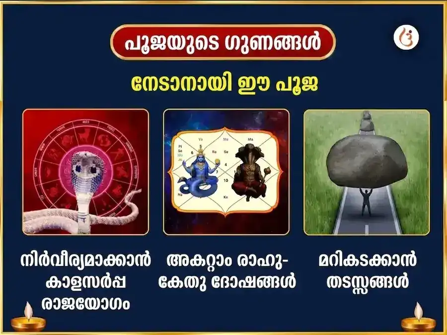 ശ്രാവണ സോമവാര വിശേഷം ത്രയംബകേശ്വർ ജ്യോതിർലിംഗ ത്രിദളം ബില്വാഷ്ടകം പാഠവും ബേൽപത്ര അഭിഷേകവും puja gallery 1