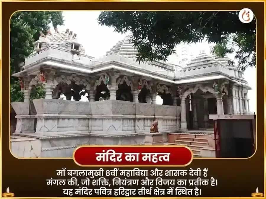 माँ बगलामुखी मोहिनी संयुक्त सर्व कार्य सिद्धि महा अनुष्ठान puja gallery 4