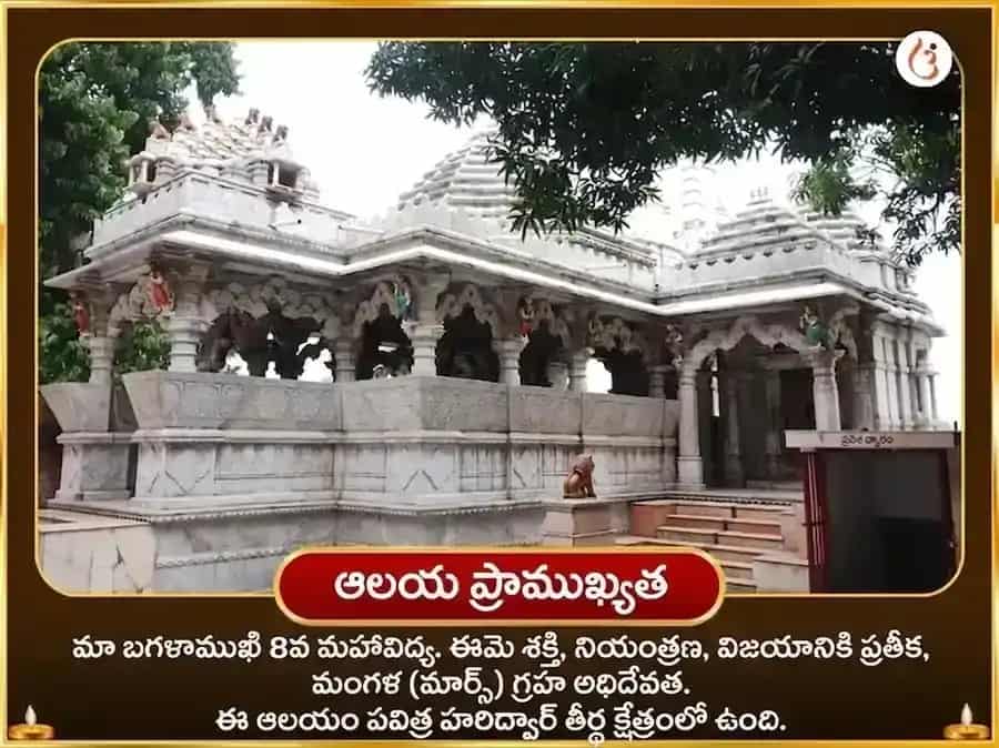 Kamika Ekadashi Special Baglamukhi Mohini Sanyukt Sarva Karya Siddhi Maha Anusthan puja gallery 4