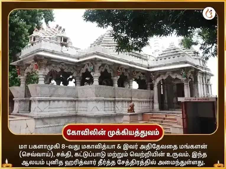 Kamika Ekadashi Special Baglamukhi Mohini Sanyukt Sarva Karya Siddhi Maha Anusthan puja gallery 4