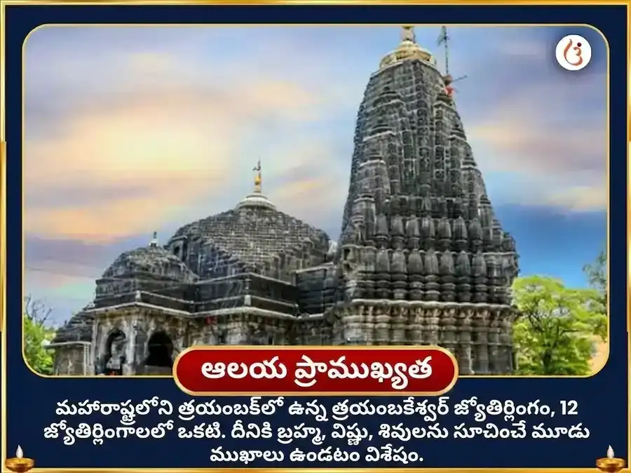 శ్రావణ సోమవార విశేష త్రయంబకేశ్వర జ్యోతిర్లింగ త్రిదళం బిల్వ అష్టకం పారాయణం & బిల్వపత్ర అభిషేకం puja gallery 4