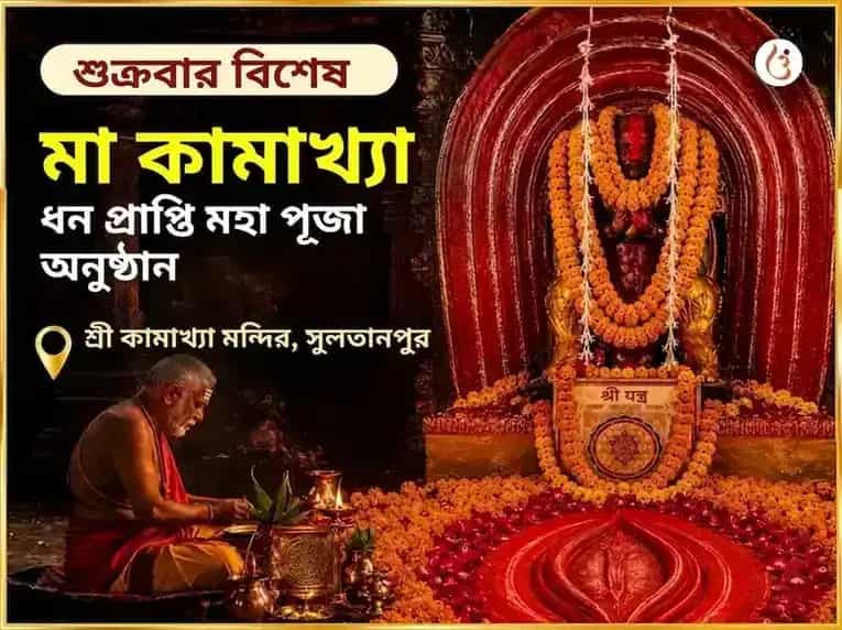 শুক্রবার বিশেষ মা কামাখ্যা ধন প্রাপ্তি মহাপূজা puja image 1