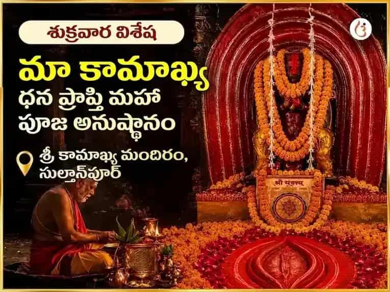శుక్రవార విశేష మా కామాఖ్య ధన ప్రాప్తి మహా పూజ puja image 1