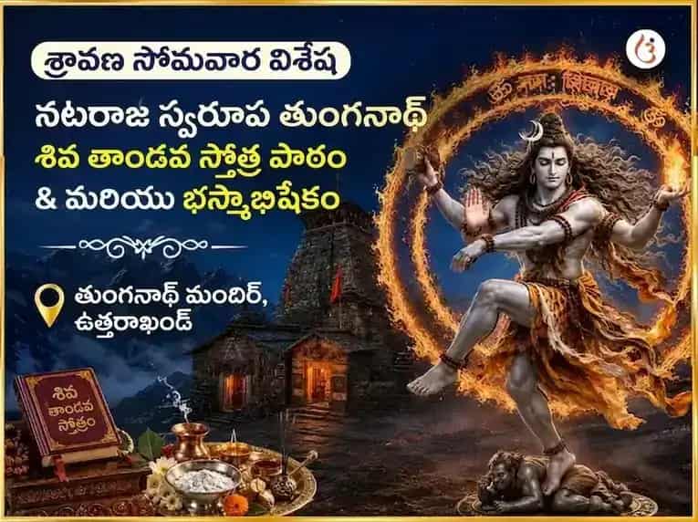 శ్రావణ సోమవార విశేష నటరాజ స్వరూప తుంగనాథ్ శివ తాండవ స్తోత్ర పారాయణం మరియు భస్మాభిషేకం puja image 1
