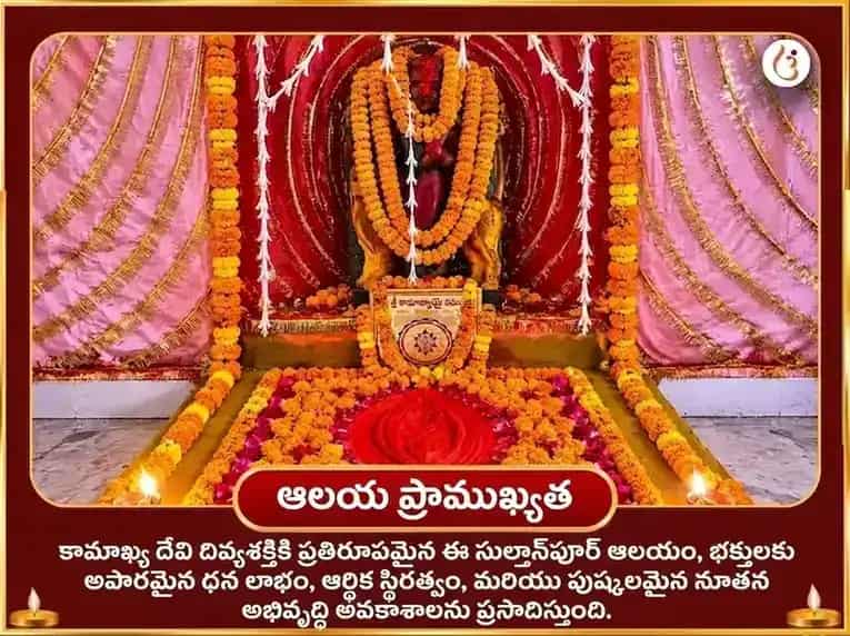 శుక్రవార విశేష మా కామాఖ్య ధన ప్రాప్తి మహా పూజ puja gallery 4