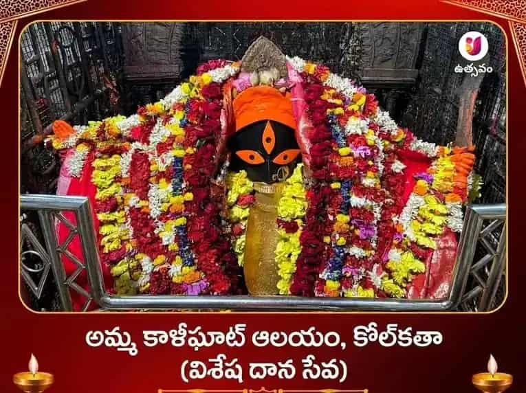 కాళీఘాట్ విశేష మా కాళి వస్త్ర దాన సేవ puja image 1