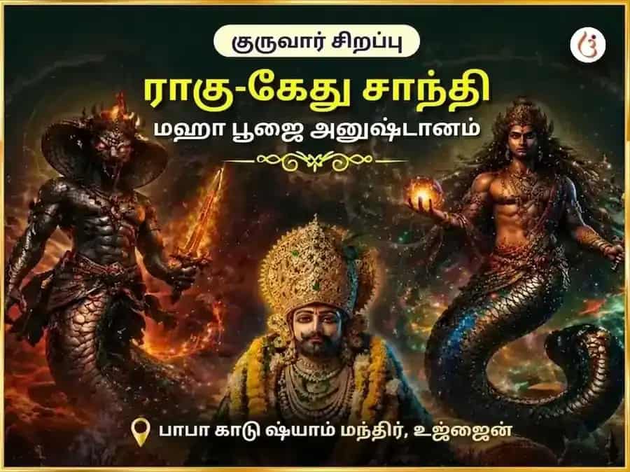 குருவார் சிறப்பு ராகு-கேது சாந்தி மகா பூஜை puja gallery 5