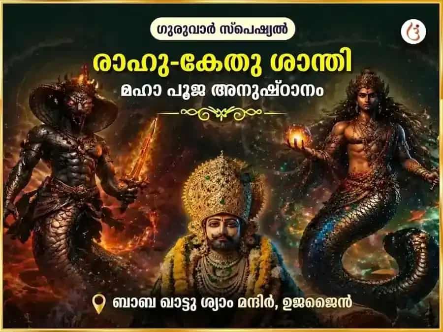 ഗുരുവാർ സ്പെഷ്യൽ രാഹു-കേതു ശാന്തി മഹാപൂജ puja gallery 5