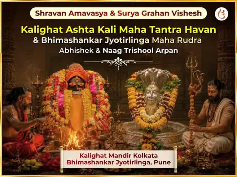 Shravan Amavasya & Surya Grahan Vishesh Kalighat Ashta Kali Maha Tantra Havan & Bhimashankar Jyotirlinga Maha Rudra Abhishek & Naag Trishool Arpan puja image 1