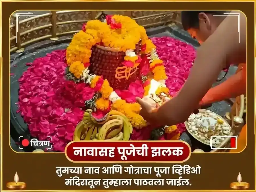 श्रावण शिवरात्री विशेष शिव सहस्रनाम पठण आणि नंदी सेवा puja gallery 2