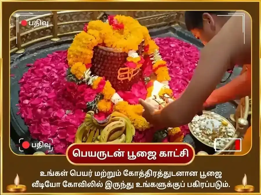 சிராவண சிவராத்திரி சிறப்பு சிவ சஹஸ்ரநாம பாராயணம் & நந்தி சேவை puja gallery 2