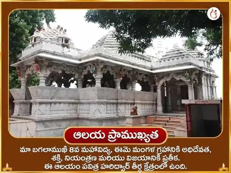 శుక్రవార విశేష్ 1008 మా బగలాముఖి బ్రహ్మాస్త్ర స్తోత్రం పాఠ్ puja gallery 3