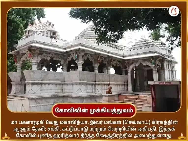 சுக்ரவார் விசேஷ 1008 மா பக்ளாமுகி பிரம்மாஸ்திர ஸ்தோத்திரம் பாராயணம் puja gallery 3