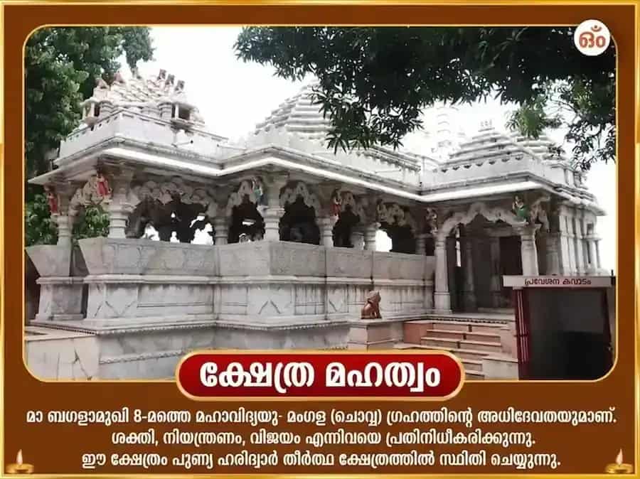 ശുക്രവാര വിശേഷ് 1008 മാ ബഗളാമുഖി ബ്രഹ്മാസ്ത്ര സ്തോത്രം പാഠം puja gallery 3