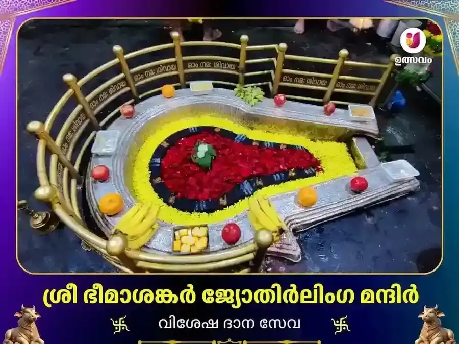 ഭീമാശങ്കർ ജ്യോതിർലിംഗ വിശേഷ ദാന സേവ puja image 1