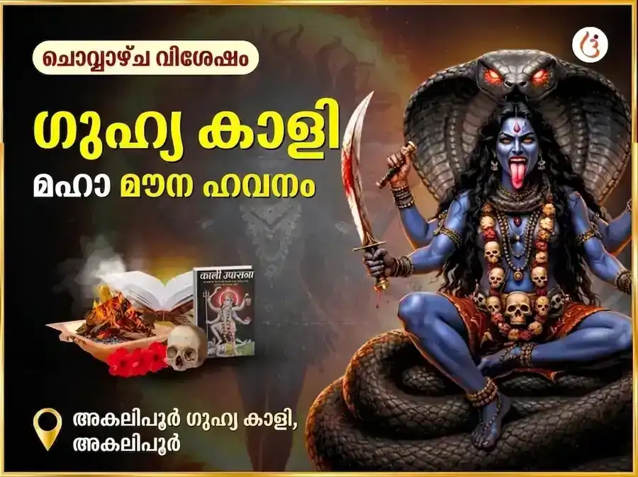 അകലിപുർ ഗുഹ്യ കാളി രഹസ്യ മഹാ മൗന ഹവൻ puja image 1