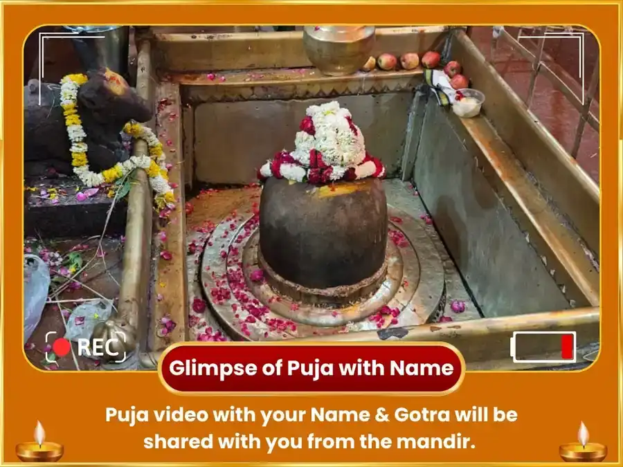Simha Sakranti Vishesh 1000000 Surya Mool Mantra Jaap Sahit Sahit Swarna Ashwa Chadava puja gallery 2