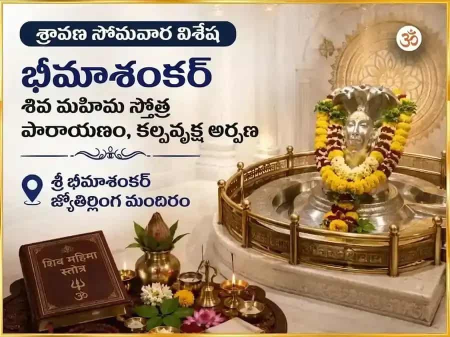 శ్రావణ సోమవార విశేష్ భీమశంకర్ శివ మహిమా స్తోత్ర పారాయణం & కల్ప వృక్ష అర్పణ puja image 1