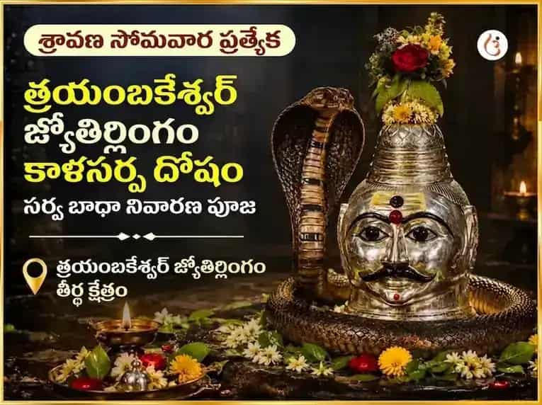 శ్రావణ సోమవార ప్రత్యేక త్రయంబకేశ్వర జ్యోతిర్లింగ కాల సర్ప దోష సర్వ బాధ నివారణ మహా పూజ puja image 1
