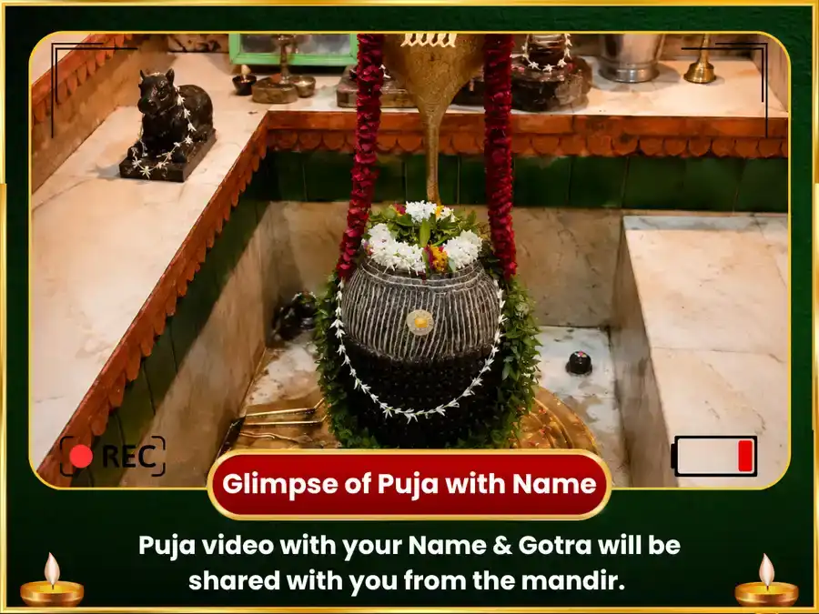Nag Panchmi Vishesh Nageshwar Jyotirlinga Dugdha-Rambha Abhishek & Nav Nag Stotram Path puja gallery 2