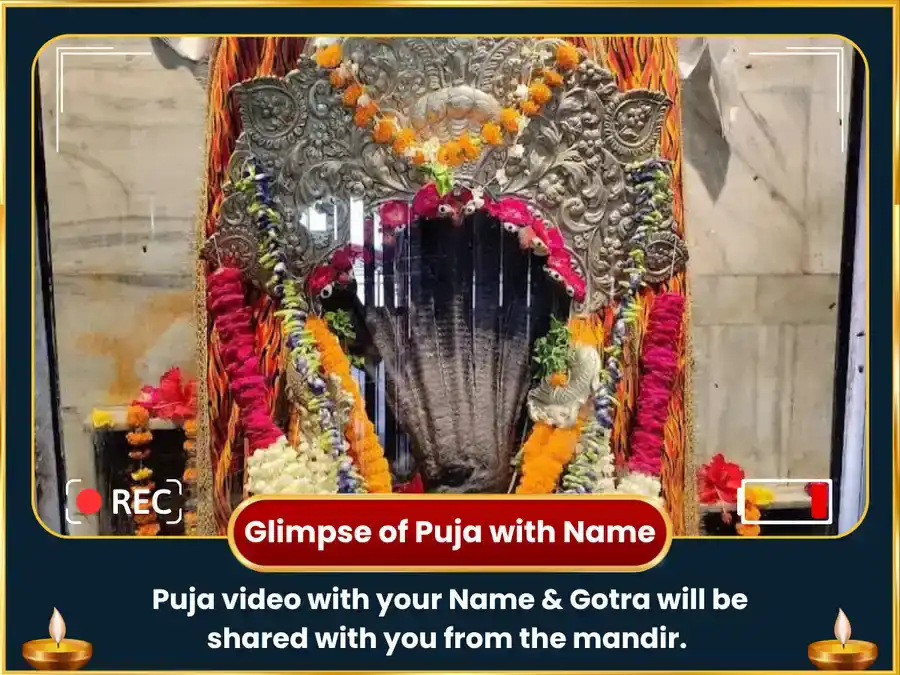 Nag Panchmi Vishesh Nag Vasuki 1,25,000 Nagaraja Gayatri Mantra Jaap & Navratna Arpan puja gallery 2
