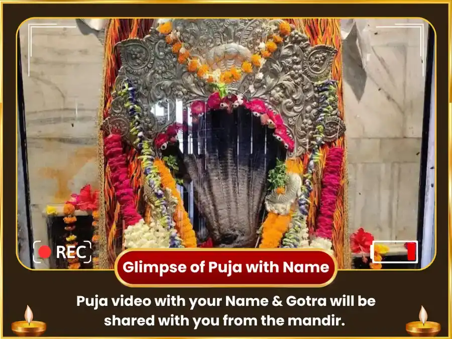 Nag Panchami Vishesh Nagraj Nag Vasuki Mandir Prayagraj Rahu Ketu Shanti Maha Anusthan puja gallery 2