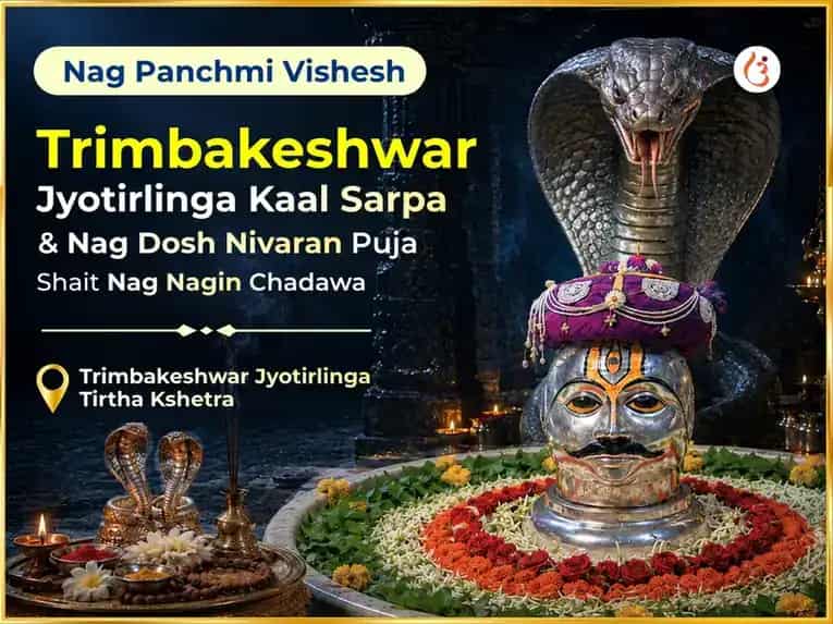 Nag Panchmi Vishesh Trimbakeshwar Jyotirlinga Kal Sarpa & Nag Dosh Nivaran Puja Sahit Nag Nagin Chadawa puja image 1