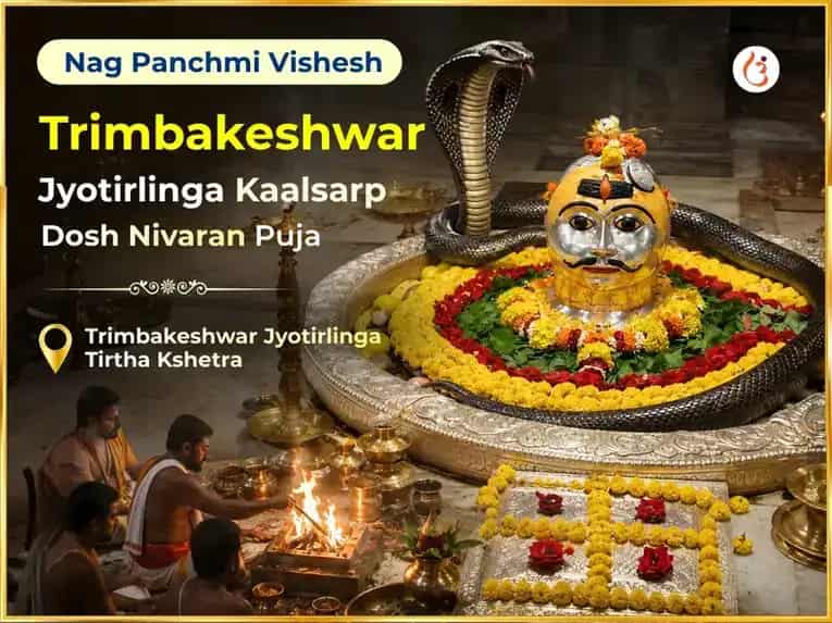 Nag Panchami Vishesh Trimbkeshwar Jyotrling Kaalsarp Dosh Nivaran Puja puja image 1