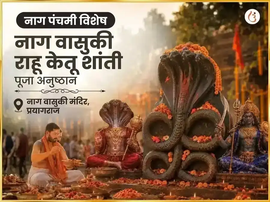 नाग पंचमी विशेष नागराज नाग वासुकी मंदिर प्रयागराज राहू केतू शांती महा अनुष्ठान puja image 1