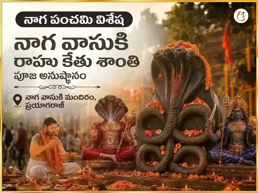 నాగ పంచమి విశేష్ నాగరాజ్ నాగ్ వాసుకి మందిర్ ప్రయాగరాజ్ రాహు కేతు శాంతి మహా అనుష్ఠాన్ puja image 1