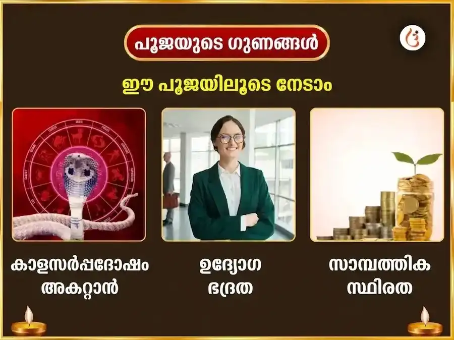 നാഗപഞ്ചമി വിശേഷ് നാഗരാജ് നാഗ് വാസുകി മന്ദിർ പ്രയാഗ്‌രാജ് രാഹു കേതു ശാന്തി മഹാ അനുഷ്ഠാൻ puja gallery 1