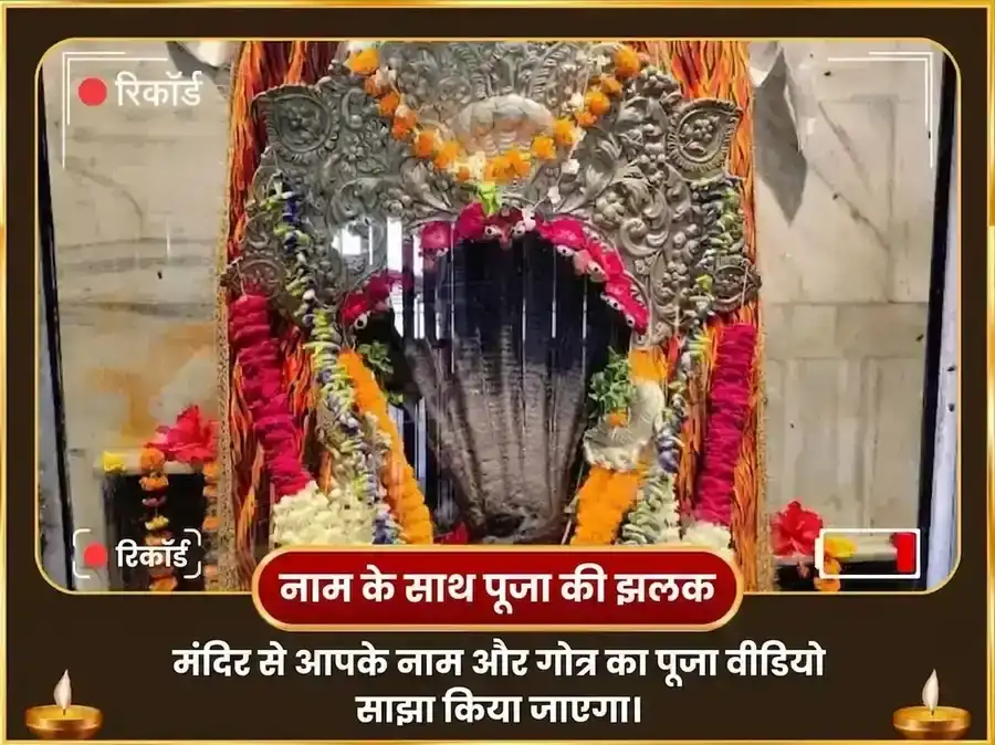 नाग पंचमी विशेष नागराज नाग वासुकी मंदिर प्रयागराज राहु केतु शांति महा अनुष्ठान puja gallery 2