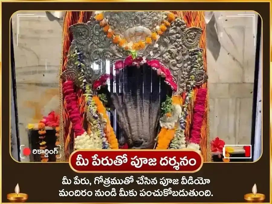 నాగ పంచమి విశేష్ నాగరాజ్ నాగ్ వాసుకి మందిర్ ప్రయాగరాజ్ రాహు కేతు శాంతి మహా అనుష్ఠాన్ puja gallery 2