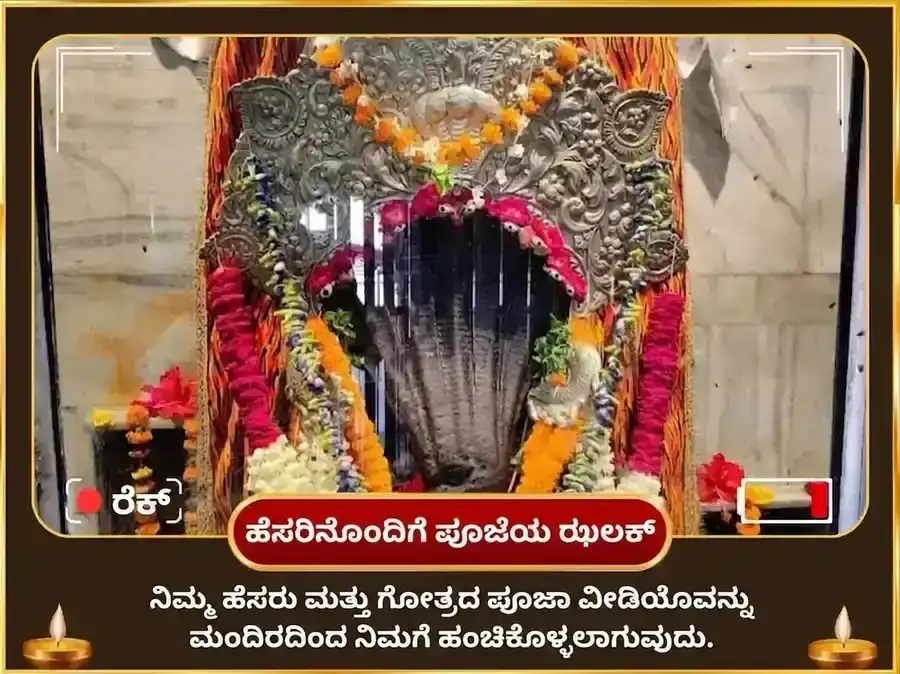 ನಾಗ ಪಂಚಮಿ ವಿಶೇಷ ನಾಗರಾಜ ನಾಗ ವಾಸುಕಿ ಮಂದಿರ ಪ್ರಯಾಗರಾಜ್ ರಾಹು ಕೇತು ಶಾಂತಿ ಮಹಾ ಅನುಷ್ಠಾನ puja gallery 2