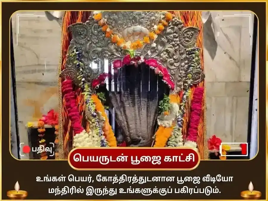 நாக பஞ்சமி விசேஷ நாகராஜ் நாக் வாசுகி மந்திர் பிரயாக்ராஜ் ராகு கேது சாந்தி மஹா அனுஷ்டான் puja gallery 2