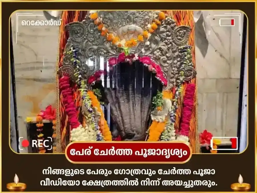 നാഗപഞ്ചമി വിശേഷ് നാഗരാജ് നാഗ് വാസുകി മന്ദിർ പ്രയാഗ്‌രാജ് രാഹു കേതു ശാന്തി മഹാ അനുഷ്ഠാൻ puja gallery 2