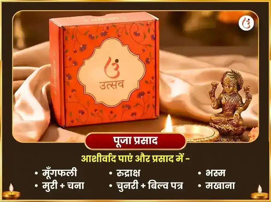 नाग पंचमी विशेष नागराज नाग वासुकी मंदिर प्रयागराज राहु केतु शांति महा अनुष्ठान puja gallery 3