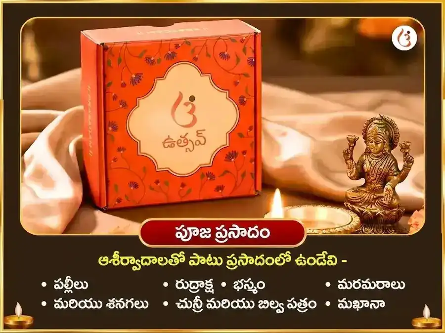 నాగ పంచమి విశేష్ నాగరాజ్ నాగ్ వాసుకి మందిర్ ప్రయాగరాజ్ రాహు కేతు శాంతి మహా అనుష్ఠాన్ puja gallery 3
