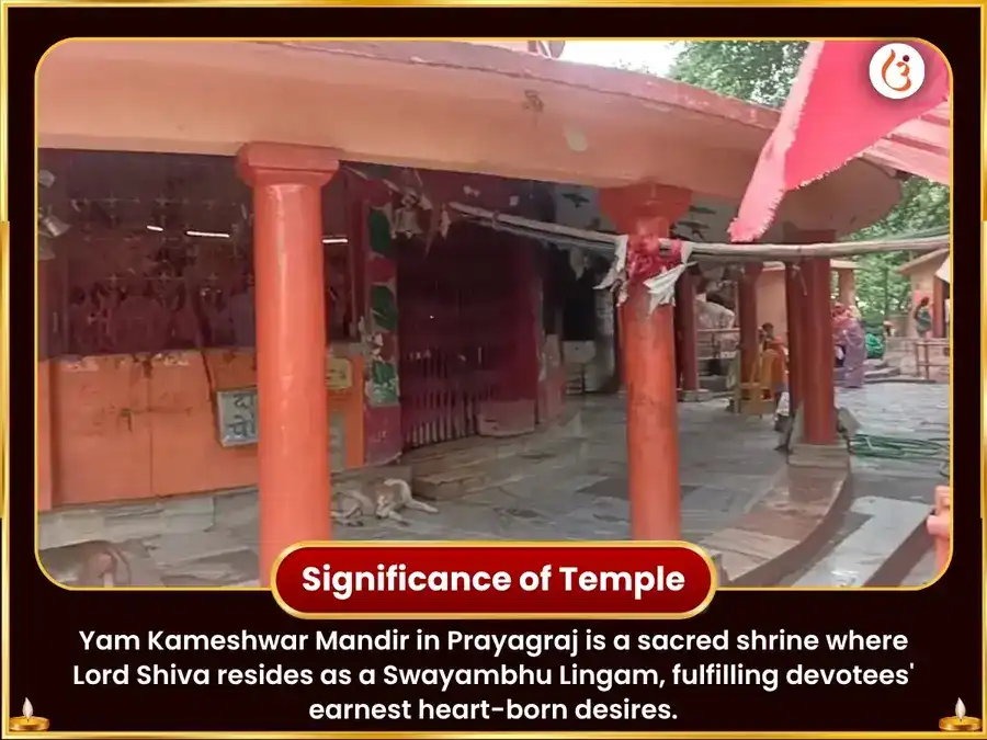 Sharavan Somvar Vishesh Rakt Abhishek & Kameshwar Strotam Path puja gallery 4