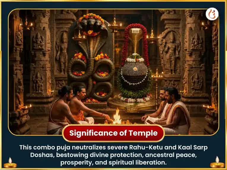 Nag Panchmi Vishesh Nag Vasuki 1,25,000 Nagaraja Gayatri Mantra Jaap & Navratna Arpan puja gallery 4