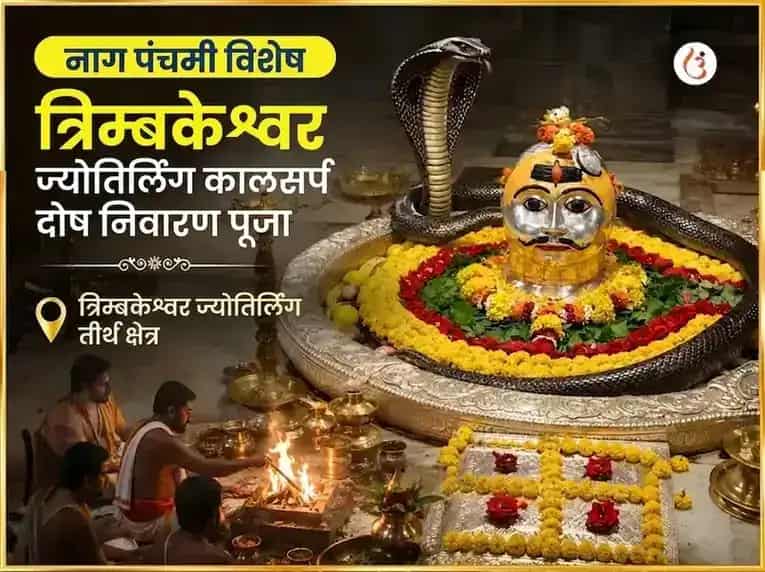 नाग पंचमी विशेष त्र्यंबकेश्वर ज्योतिर्लिंग कालसर्प दोष निवारण पूजा puja image 1