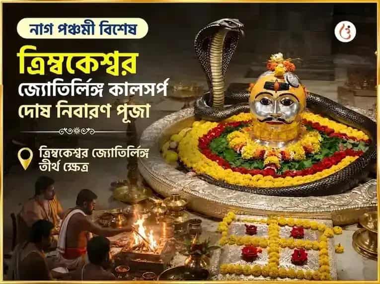 নাগ পঞ্চমী বিশেষ ত্র্যম্বকেশ্বর জ্যোতির্লিঙ্গ কালসর্প দোষ নিবারণ পূজা puja image 1