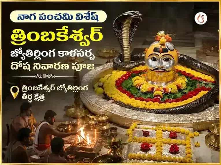 నాగ పంచమి విశేష త్రయంబకేశ్వర్ జ్యోతిర్లింగ కాలసర్ప దోష నివారణ పూజ puja image 1