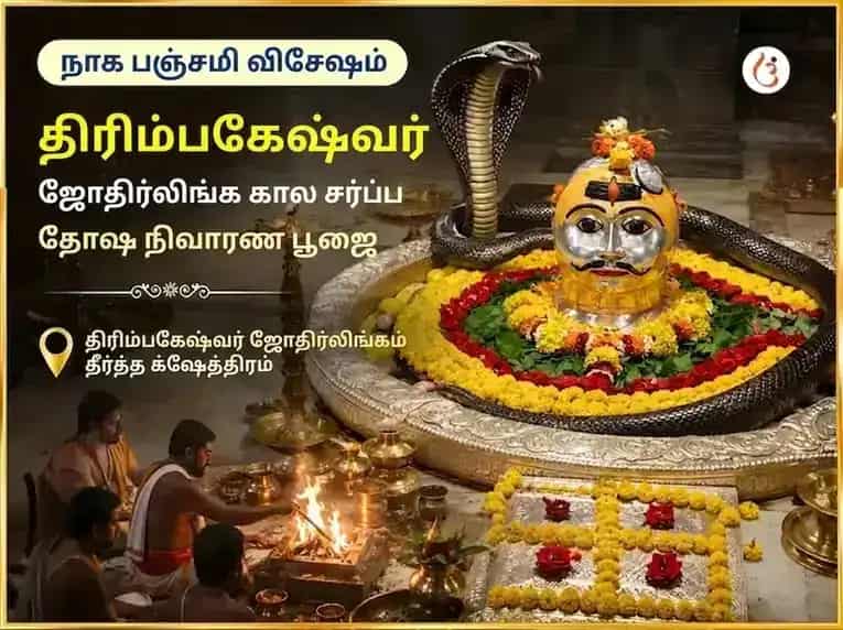 நாக பஞ்சமி விசேஷ த்ரயம்பகேஷ்வர் ஜோதிர்லிங்க காலசர்ப்ப தோஷ நிவாரண பூஜை puja image 1